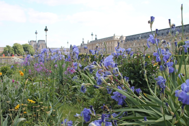 Flowers and the view of the Louvre